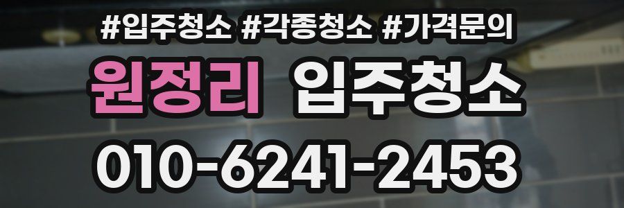 원정리 이사청소