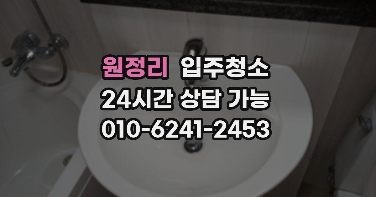 원정리 입주청소