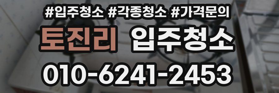 토진리 이사청소