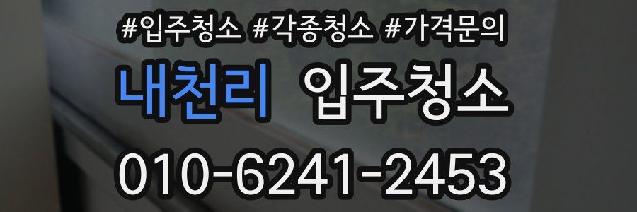 내천리 이사청소