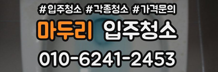 마두리 이사청소