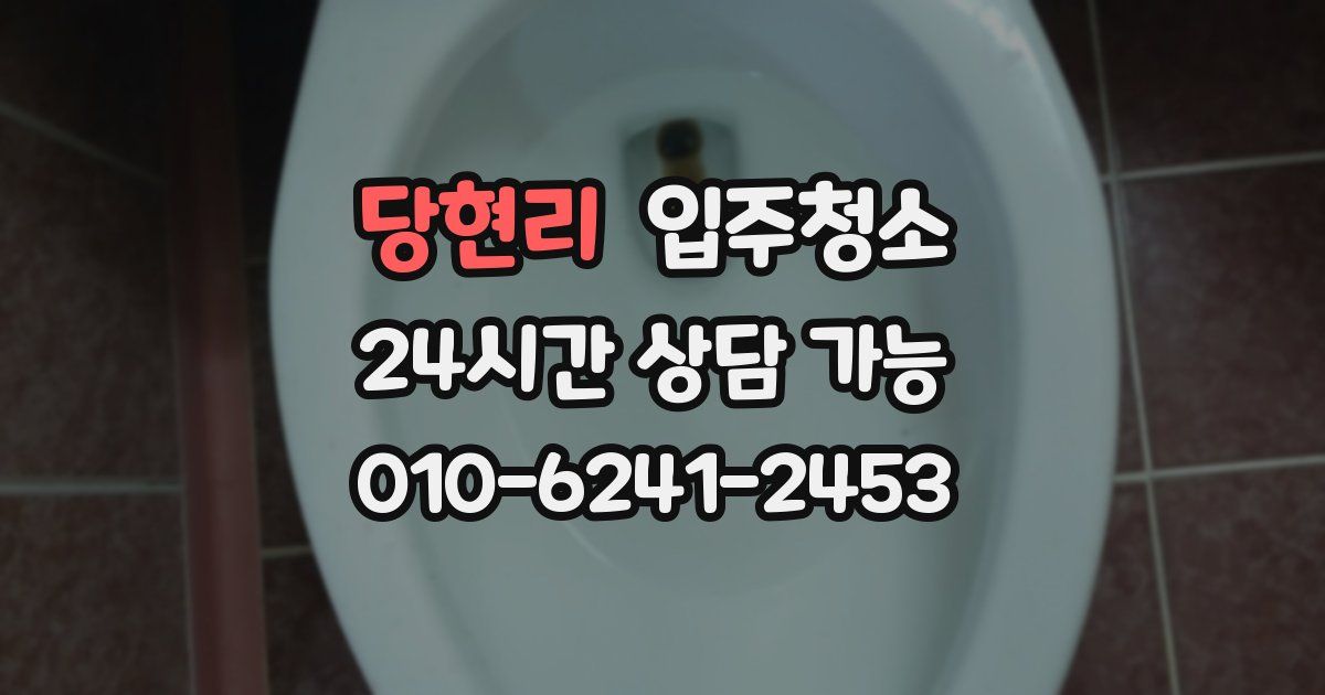 당현리 입주청소