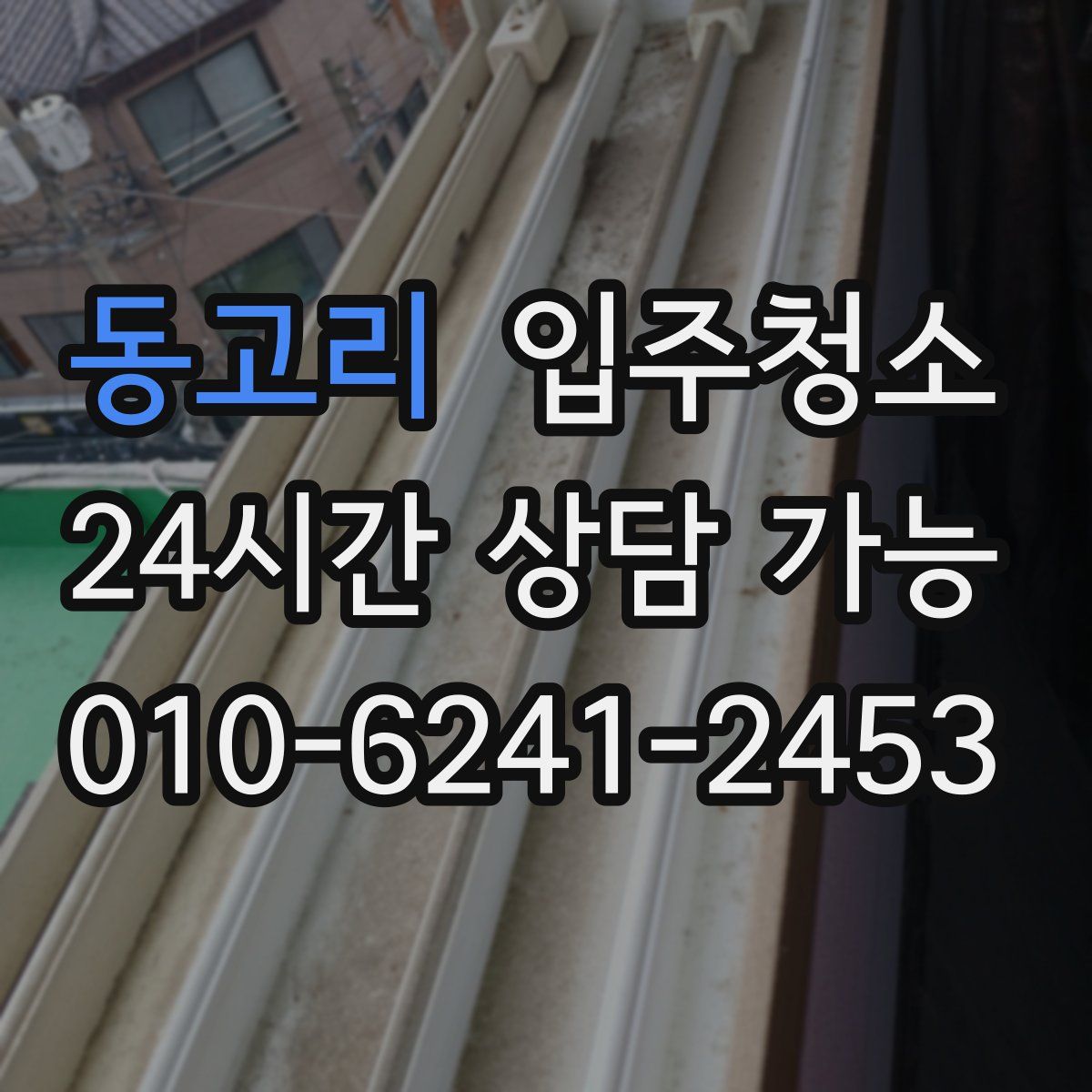 동고리 원룸청소