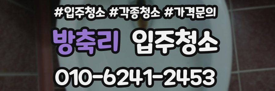 방축리 이사청소