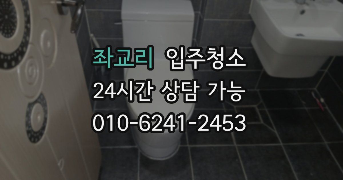 좌교리 입주청소