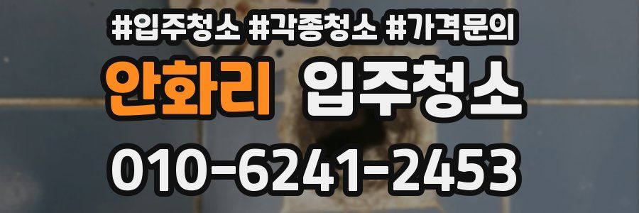 안화리 이사청소