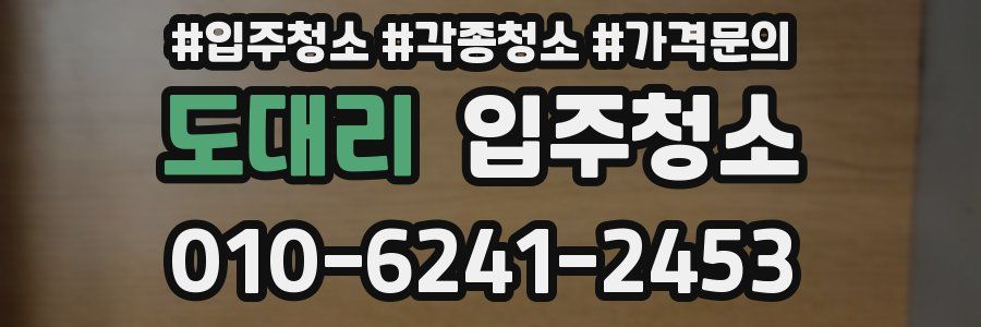 도대리 이사청소