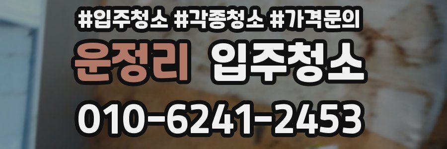 운정리 이사청소