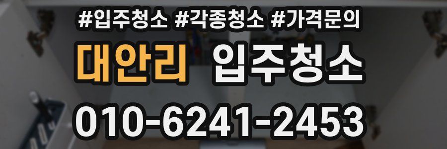 대안리 이사청소