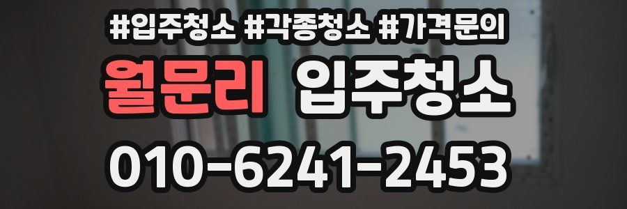 월문리 이사청소