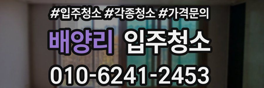 배양리 이사청소