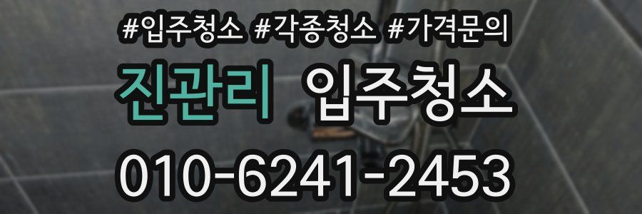 진관리 이사청소