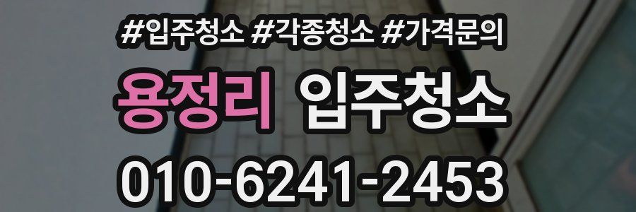 용정리 이사청소