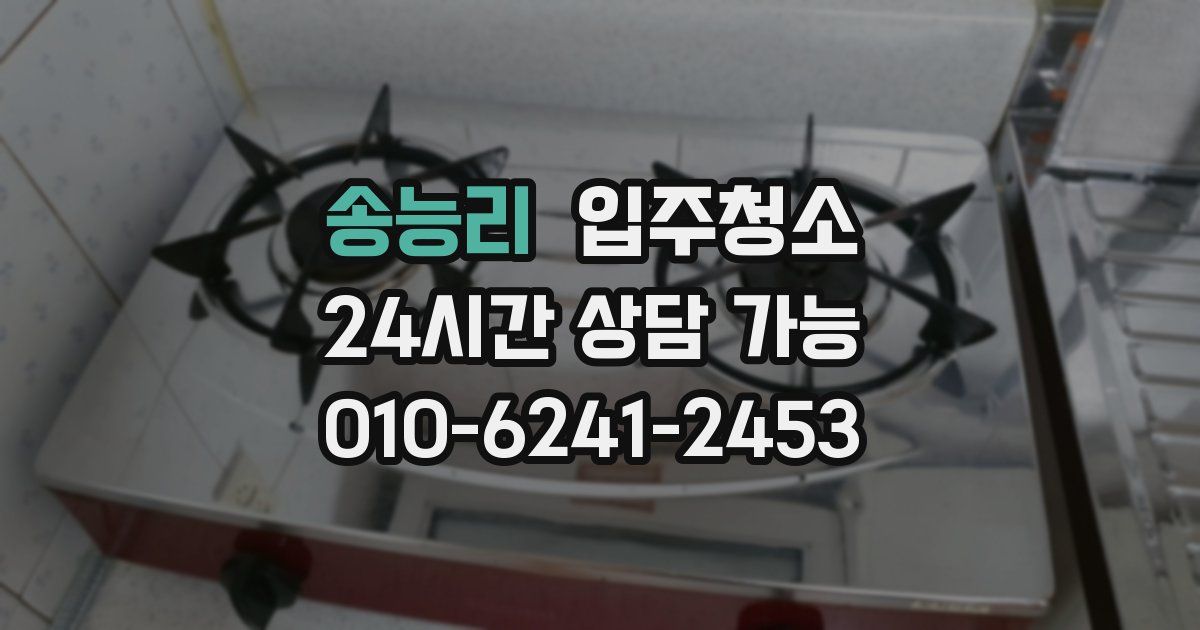 송능리 입주청소