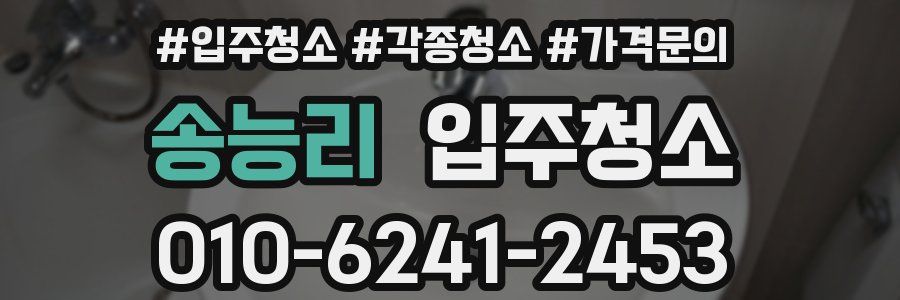 송능리 이사청소