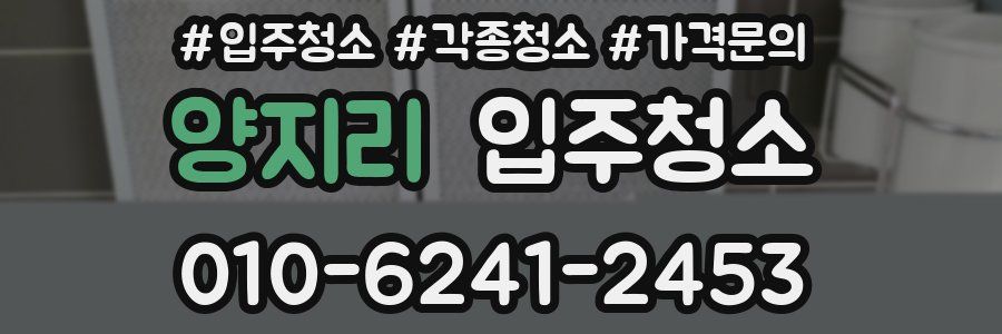 양지리 이사청소