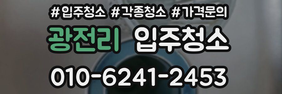 광전리 이사청소