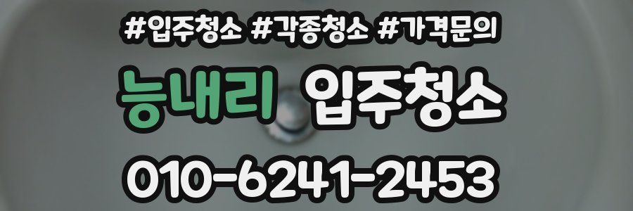 능내리 이사청소