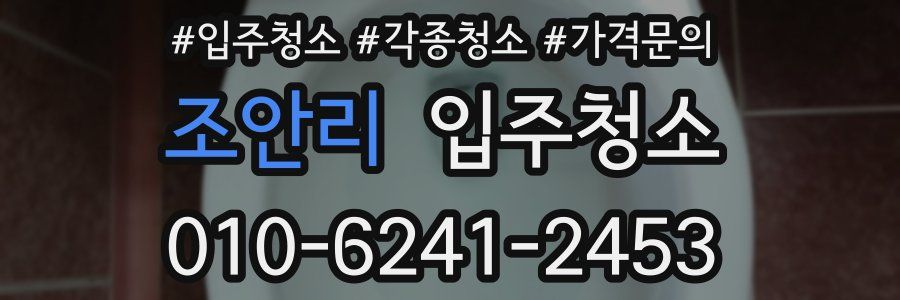 조안리 이사청소