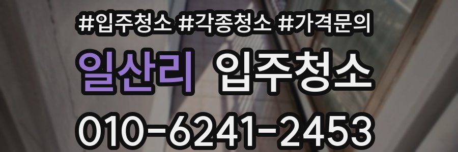 일산리 이사청소