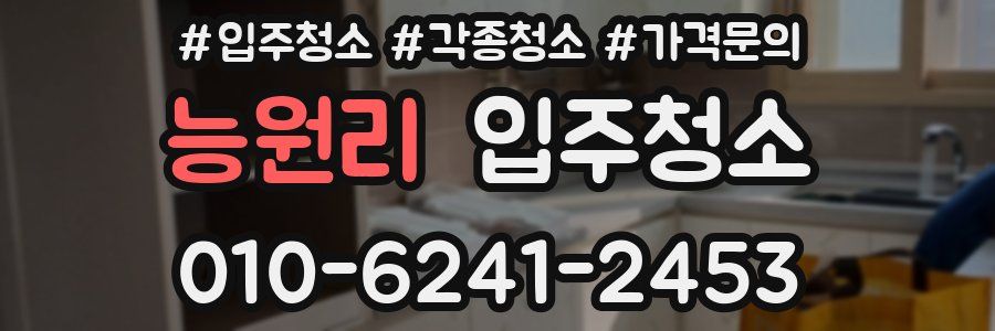 능원리 이사청소