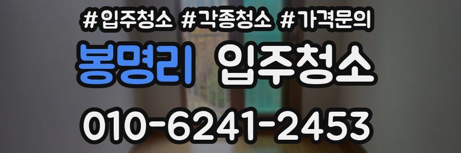 봉명리 이사청소