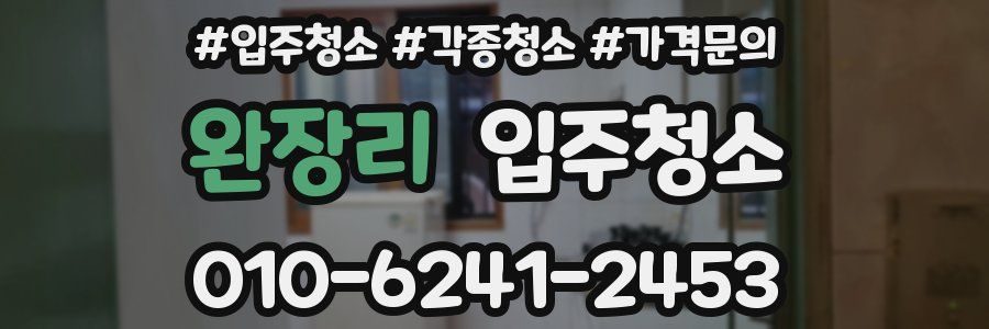 완장리 이사청소