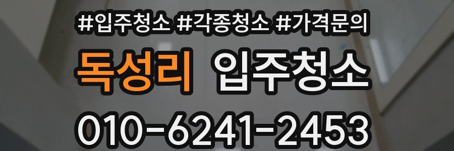 독성리 이사청소