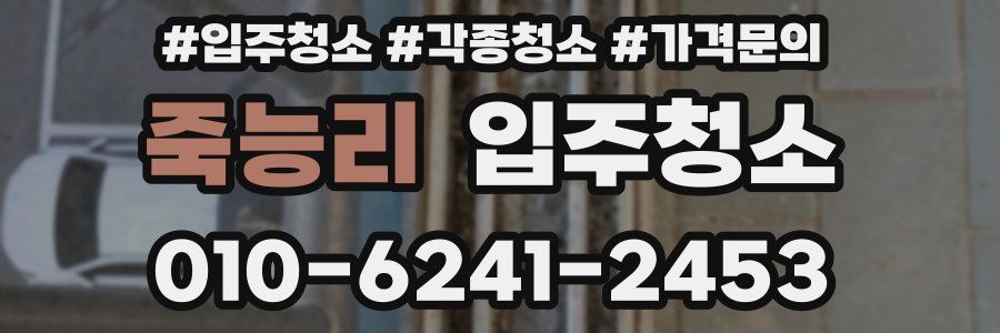 죽능리 이사청소