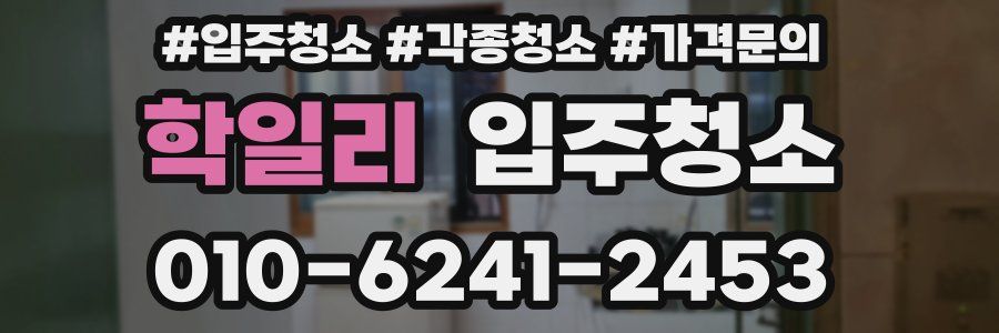 학일리 이사청소