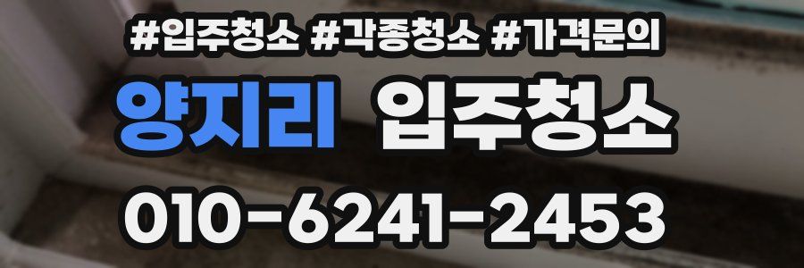양지리 이사청소