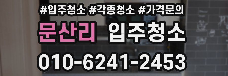 문산리 이사청소