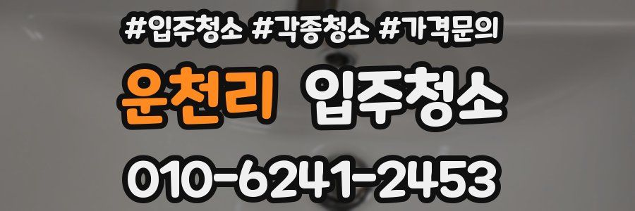 운천리 이사청소