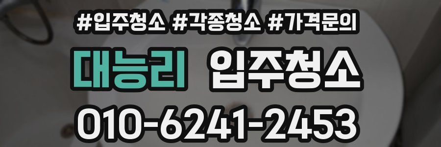 대능리 이사청소