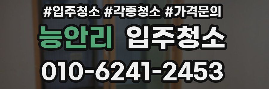 능안리 이사청소