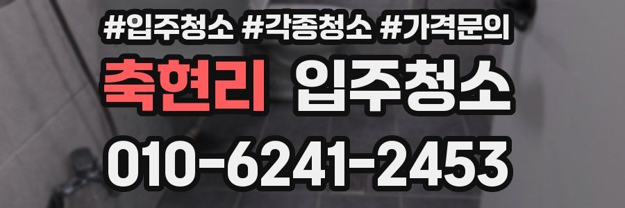 축현리 이사청소