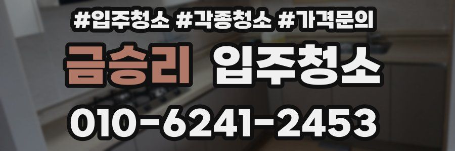 금승리 이사청소