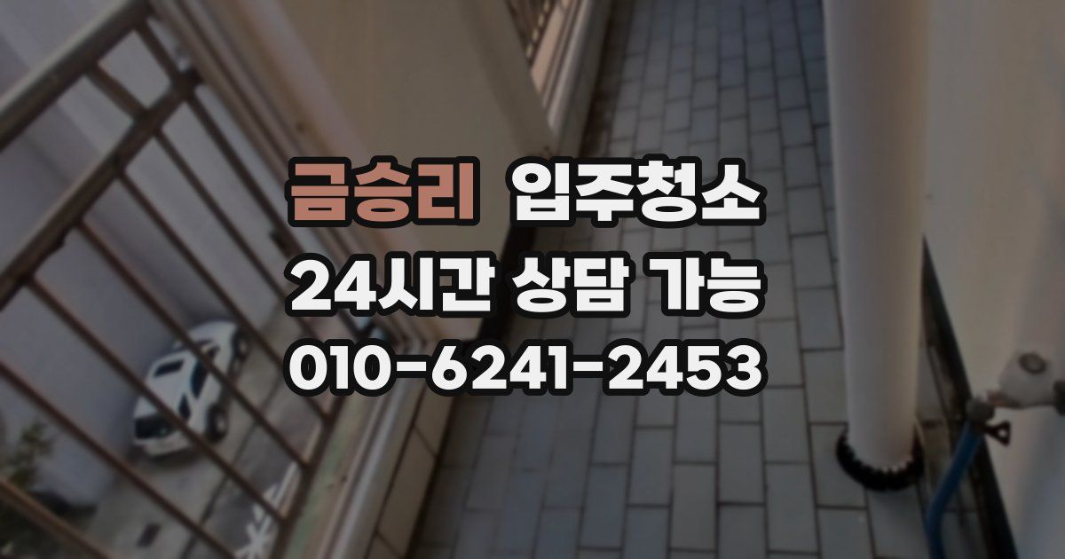 금승리 입주청소