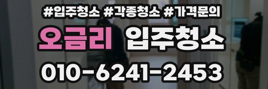 오금리 이사청소