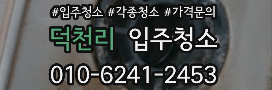 덕천리 이사청소