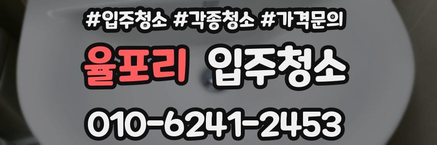 율포리 이사청소