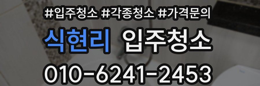 식현리 이사청소