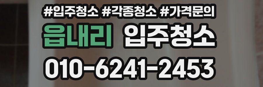 읍내리 이사청소