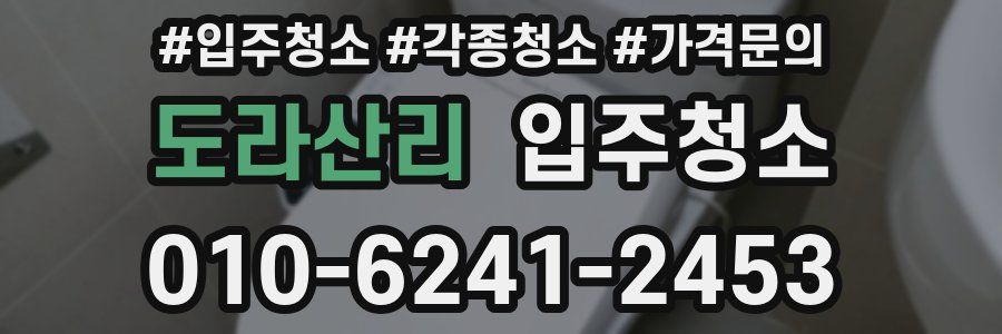 도라산리 이사청소