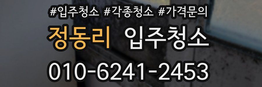 정동리 이사청소