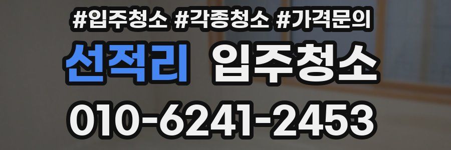 선적리 이사청소