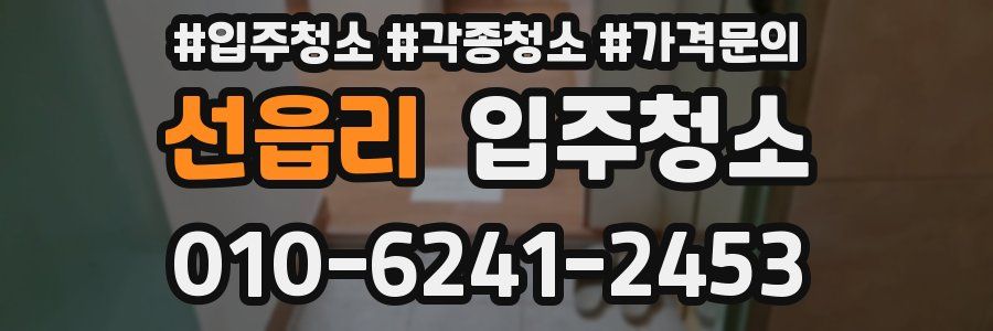 선읍리 이사청소