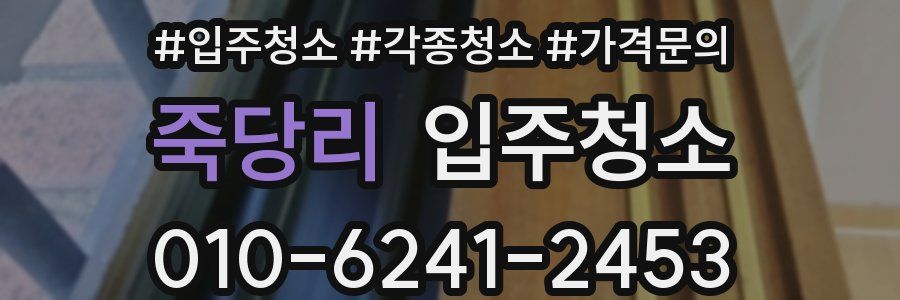 죽당리 이사청소