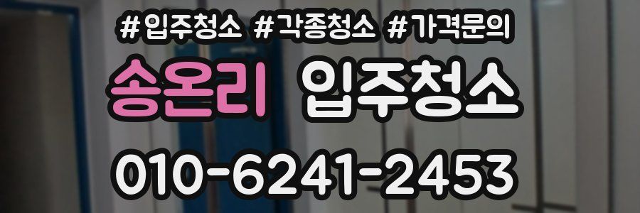 송온리 이사청소