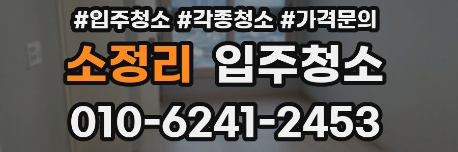 소정리 이사청소